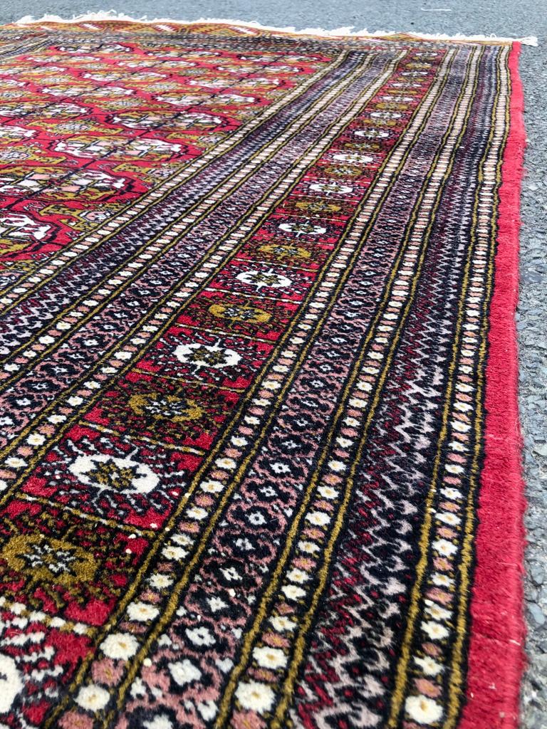 Tapis Pakistanais fait main - 160m x 260cm