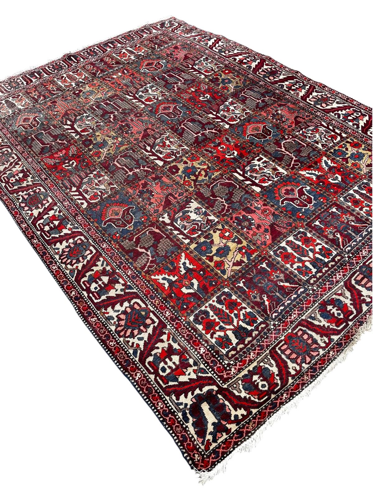 Tapis Bakthiar 230cm x 310cm
