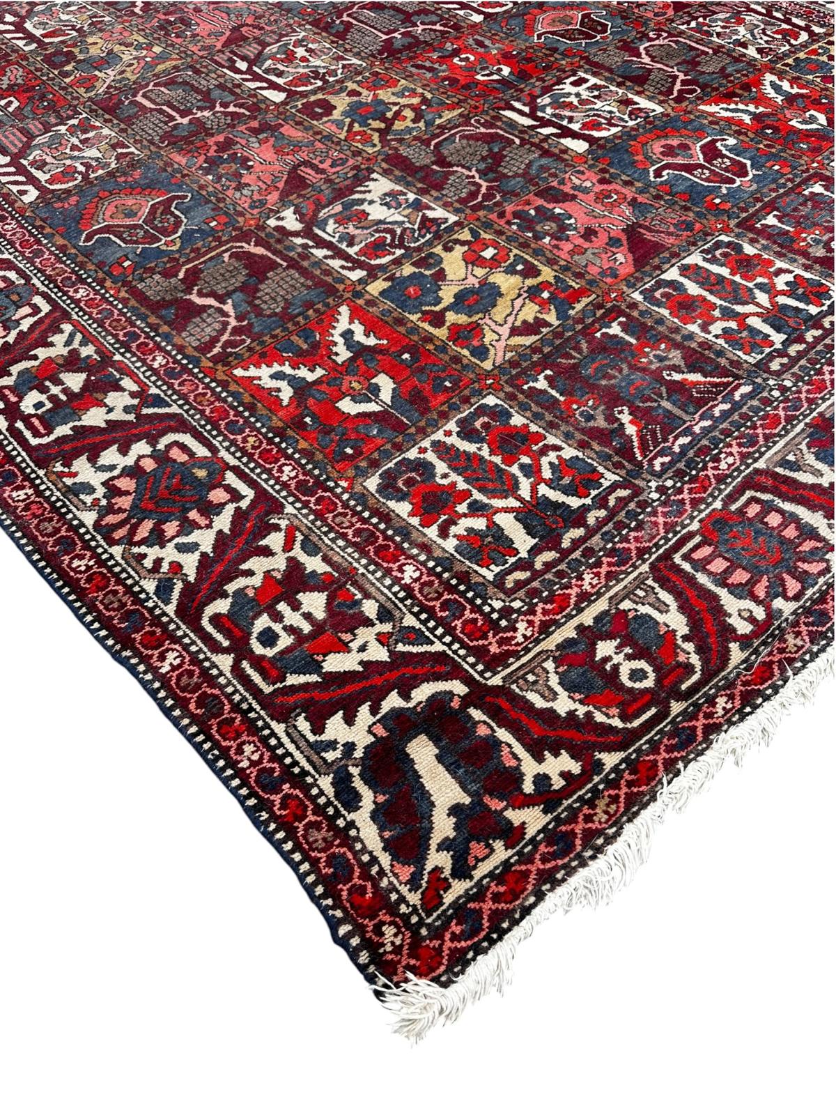 Tapis Bakthiar 230cm x 310cm