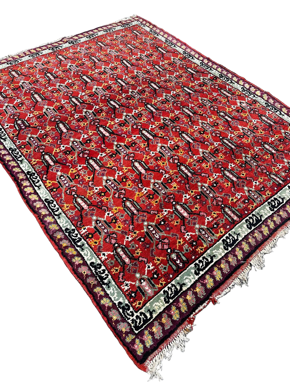 Tapis tunisien fait main 260cm x 200cm