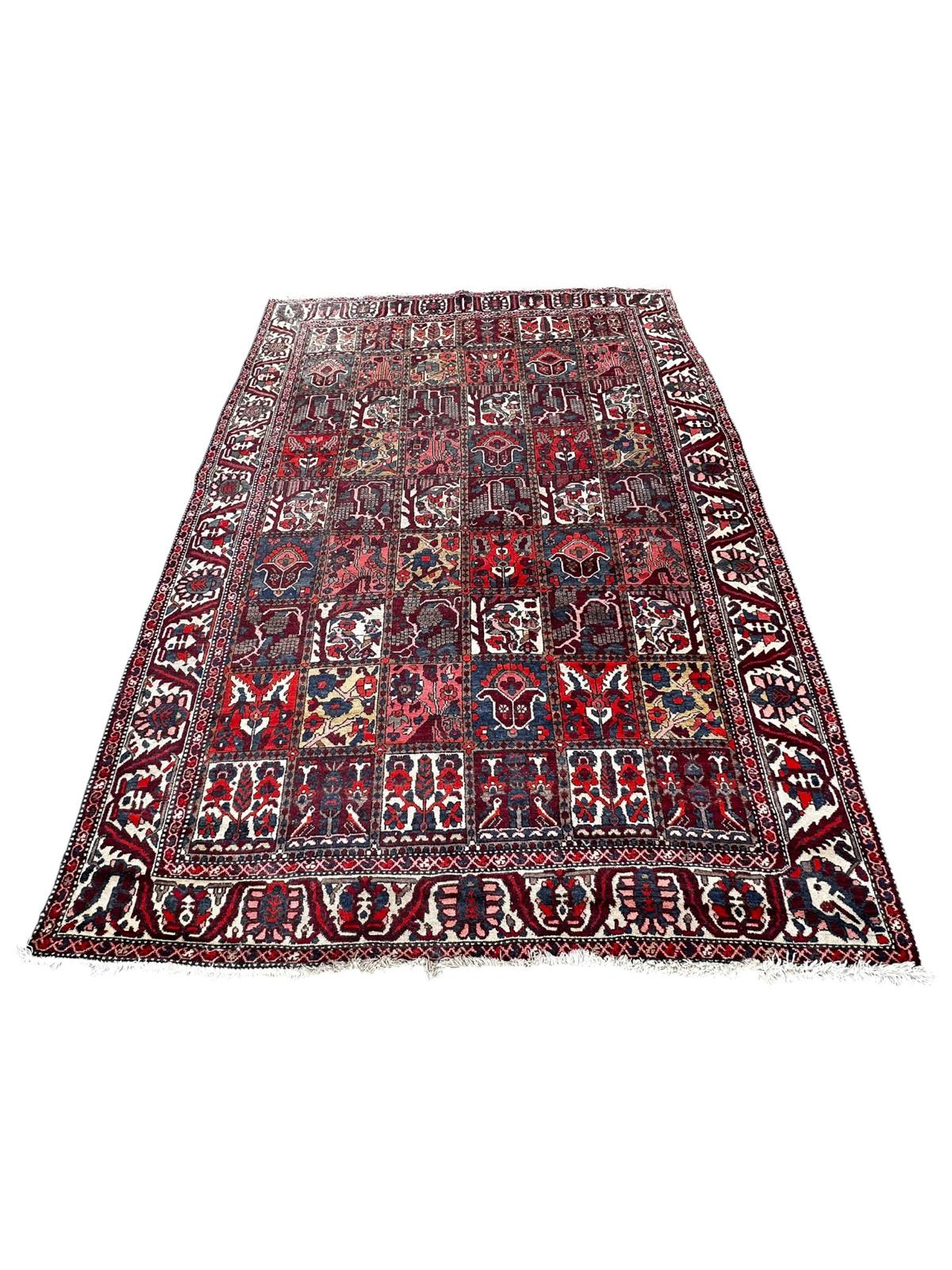 Tapis Bakthiar 230cm x 310cm